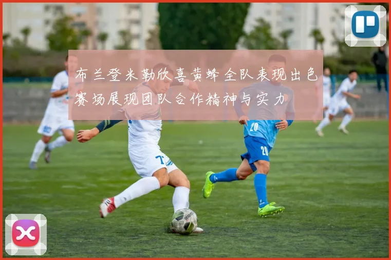 布兰登米勒欣喜黄蜂全队表现出色赛场展现团队合作精神与实力